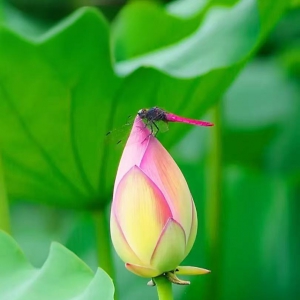 �������������