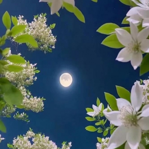 �������������