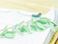 д�ڴ�����