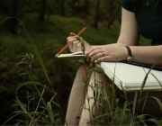 谈谈文学艺术的经典与创新