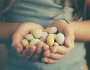 ����΢��