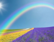 写给二十一岁的你