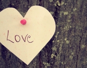 ��ʵ����ʵ