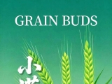 24节气24朵花24诗画:小满·月季
