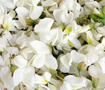 һ·������