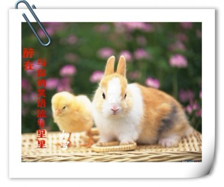 ���������Ц�������� Ц��,���� ɢ����� 100350ailuwe8ylaenaiwg