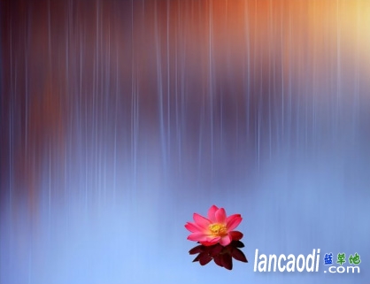 ��Ϥ��·�������� ��Ϥ,·��,������ �ִ�ʫ�� 22570826zh2akrf4uup6e0