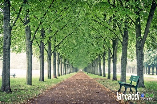 ���� ���� �ִ�ʫ�� 181825ten70e99h009egnn