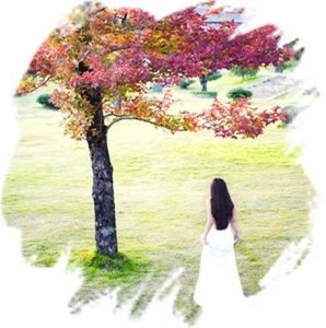 ���ĸ裬���ٳ��� ���,�ĸ�,���� �ִ�ʫ�� 205739upy4ykx22wo72q75