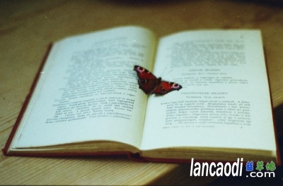 һָ�쳾��Թ�⼸�� һָ,�쳾,���� �ִ�ʫ�� 110347fhtmtznphgenhogh