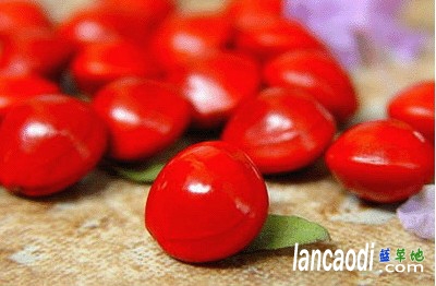 �춹��Ϊ����� �춹,Ϊ����� ɢ����� 134546r8r76ck1x6pu3ck8