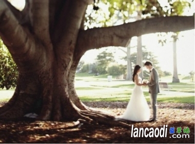 ��˵���Ѱ����� ��˵,���� �ִ�ʫ�� 161303p1d92o1tvvd82i2t