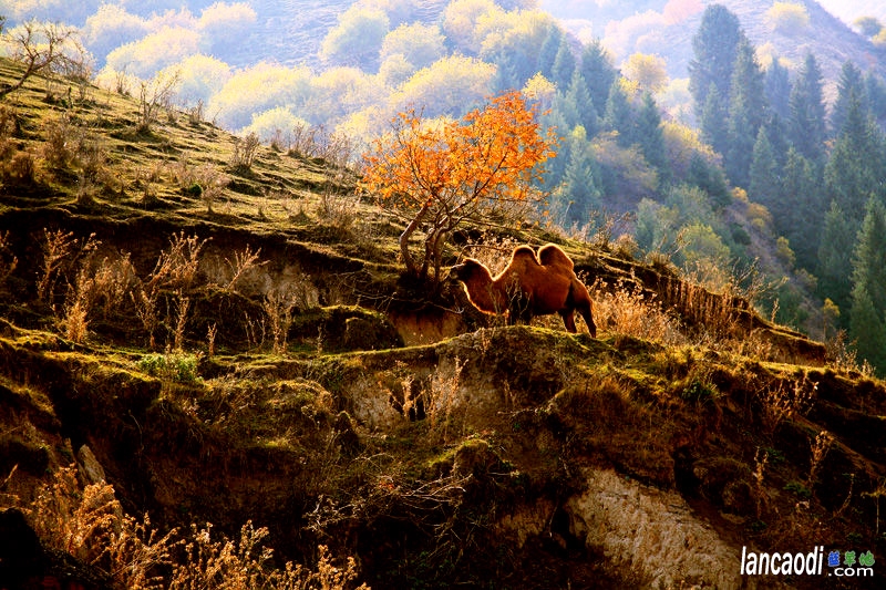 ҹ�����U  ���Ͻ��� 131202f85jj87aa0kje864