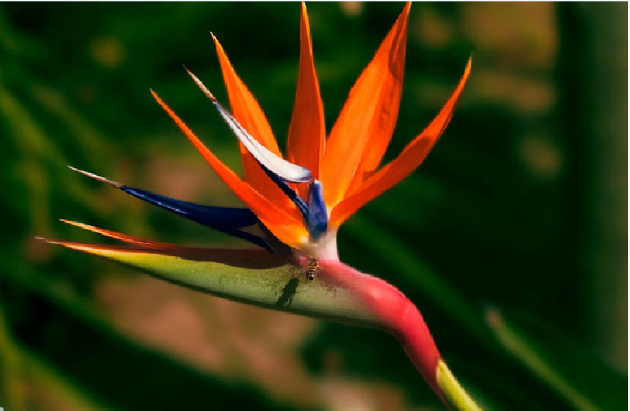 ���� ������ʦ ����,����ʦ ���Ͻ��� 103758dd8dsardppccpkoc