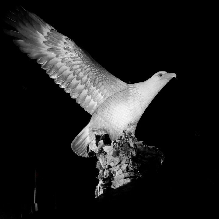 �Ͽ���   ҹӥ�����£� ҹӥ,���� ���Ͻ��� 120702tlbymiv8i2eic5ri