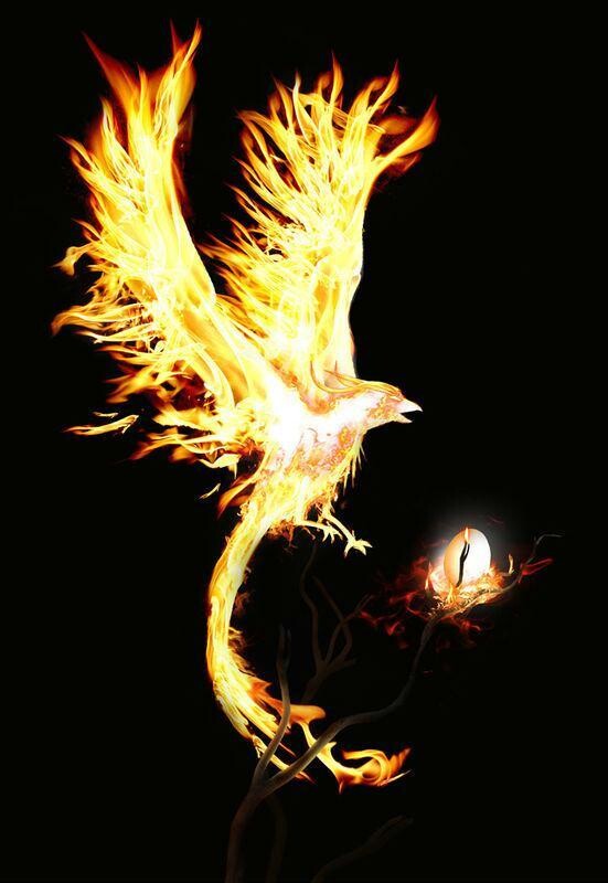   ���Ͻ��� 221213isbtgg8ao7eesdes