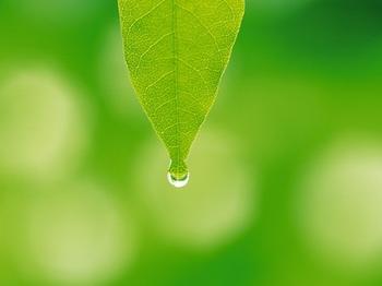 һ��ˮ������ ���� �ִ�ʫ�� 204922srffy4frtntrntlb