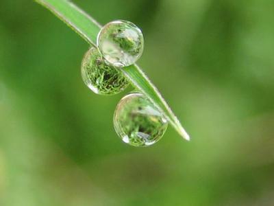 һ��ˮ������ ���� �ִ�ʫ�� 205721laczddzlixsgylad