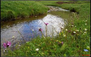 �����꼾���ģ���ɽ���ɣ� ����,�꼾,��ɽ,���� ���Ͻ��� 095404vtdgjhp02uh4pchu