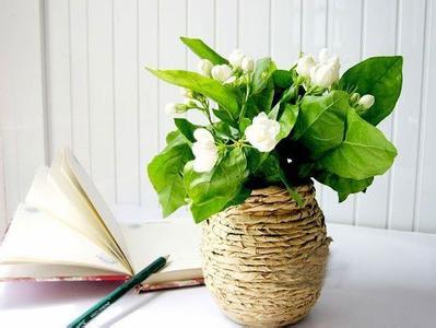 ���������   �����򻨿�����Ȼ ����,���,���򻨿�,����,��Ȼ ���Ͻ��� 211956bizajcx66zi2zi7w