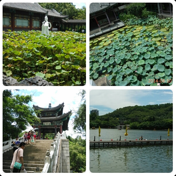 ��Բ����԰ Բ����԰ ���Ͻ��� 173057c1hyc9f9r2f5kk51