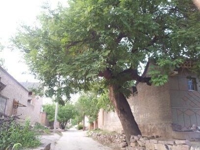 ��ĸ�� ��ĸ�� �ִ�ʫ�� 211510bzfxggv0kvofqqnf