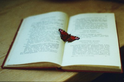 ���������ҵ����֣�����ǧ�� ����,����,�ҵ�,����,���� �ִ�ʫ�� 191749sxf4y11ppkgbfqhf