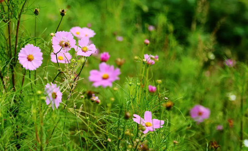 ������ϧ�ԡ�İ�ϻ������������� İ�ϻ���,����,���� ɢ����� 213318q7sb59b9pzmp5yz9