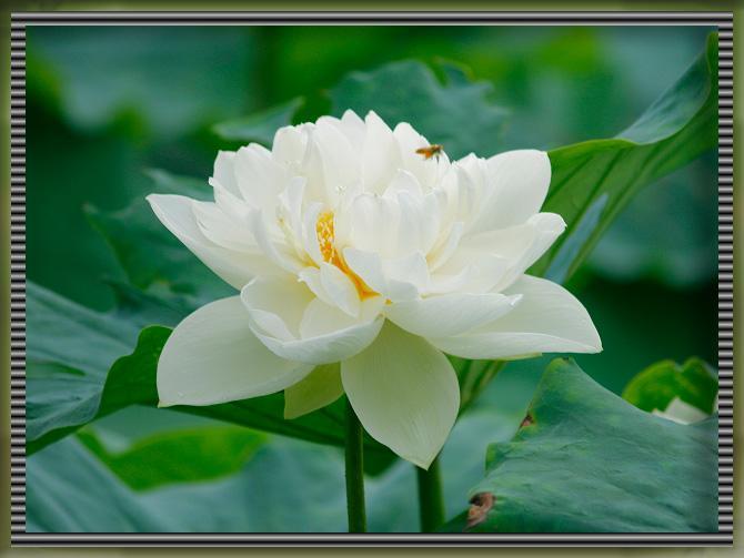 ���������������Һ� ����,���� �ִ�ʫ�� 112117by3d33on3yng1y2a