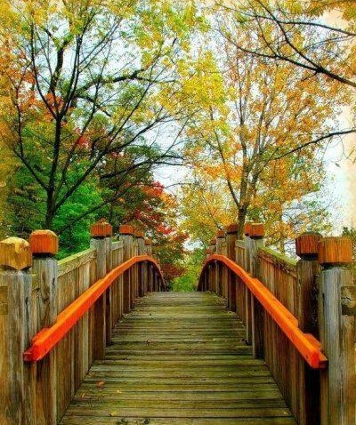 �ŵĶ���  �ִ�ʫ�� 102918owkzkmepzdamdtpl