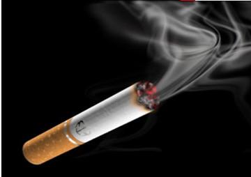 ��  ɢ����� 104239yn3nlvev5nqlt69l