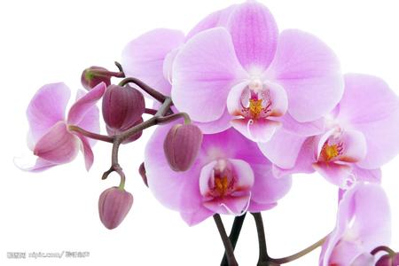 ��������    �� ���� ���Ͻ��� 214657hrmr34g82r7fi3iz