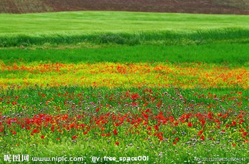 С�� С�� ɢ����� 094016ij7lgb49g4qiuy8y