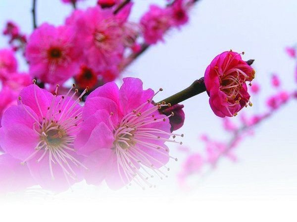 ������ •÷���˼ ��Ұ�,����,���� ���Ͻ��� 124918xvonwsaj1si8ndai