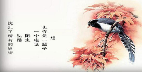 �����㣬��֪���𣿣����壩 ��֪����,��֪���� ɢ����� 123202cwy2bbkuguiy9yhy