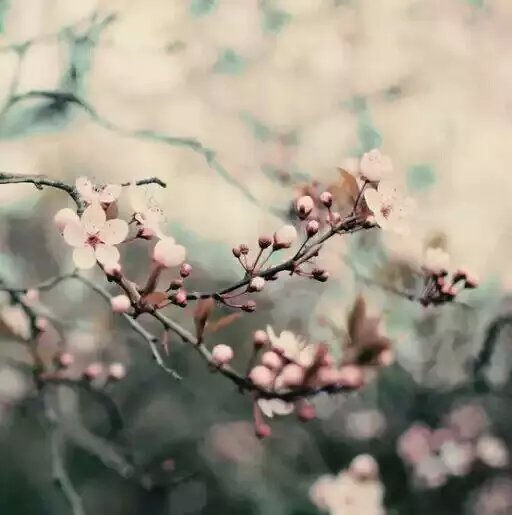 ��˼ ��˼ ���Ͻ��� 204048ujva7gc8xy147tt2