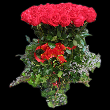   �ִ�ʫ�� 084717j72d57udhc1q5dho