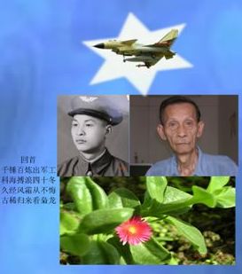 ����ʫ�������   ��/���ɢ�� ����,���,ɢ�� ���Ͻ��� 094849fkz1kiju4jyuurck