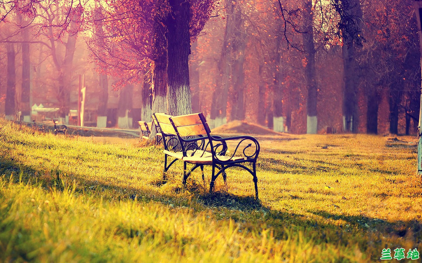 ��į  �ִ�ʫ�� 233217ifu0oqy7hsjxjau3