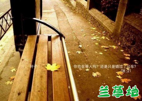 ����ĵ����죨��ʫ�� ����,��ʫ �ִ�ʫ�� 093758exufneeatun844ax