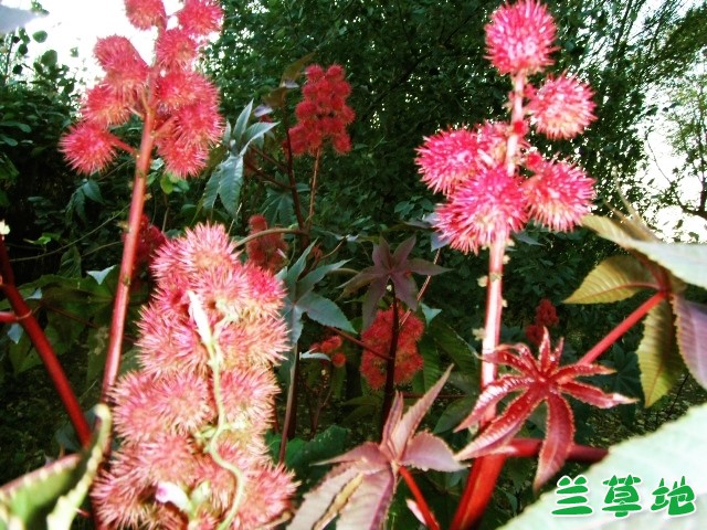 ����֮���������� ����,֮��,������ ���Ͻ��� 231611an6y4l4npnxxev6l