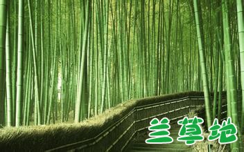 �ļ���԰ �ļ��� ɢ����� 222203md2qy3ldo9dbtoo2