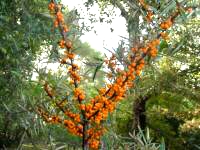 ɳ���� ɳ�� �ִ�ʫ�� 114125ymikkuhhk9izvvi9