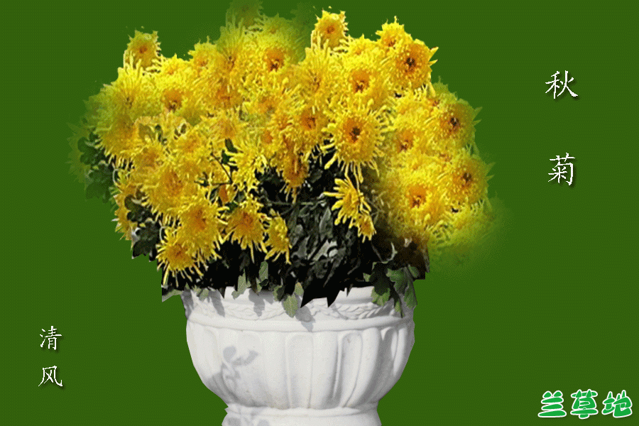 ��� ��� ɢ����� 092243pf89o6d68hovir39