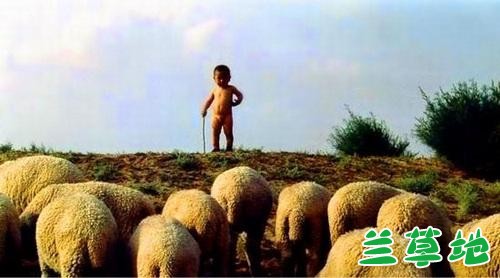 ���ʶ����� ������ ɢ����� 121953u2bouq27eee777t1