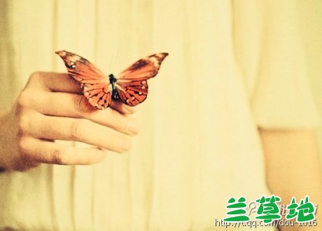 ʫ��˪�� ʫ��,˪�� �ִ�ʫ�� 222612dzgr6kggk7kggg1k