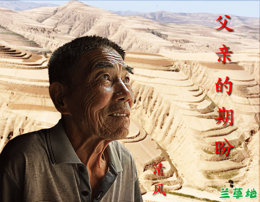 ���׵����� ����,���� ɢ����� 085918gb4508dlb8h800g5