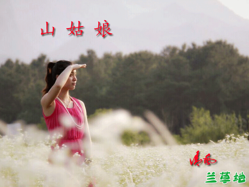 ɽ���� ���� ɢ����� 082411zrhazai9akaz958h