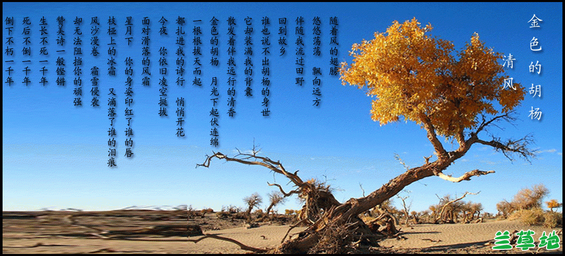 ��ɫ�ĺ��� ��ɫ��,���� �ִ�ʫ�� 092026v7pogoppwpwp7izw