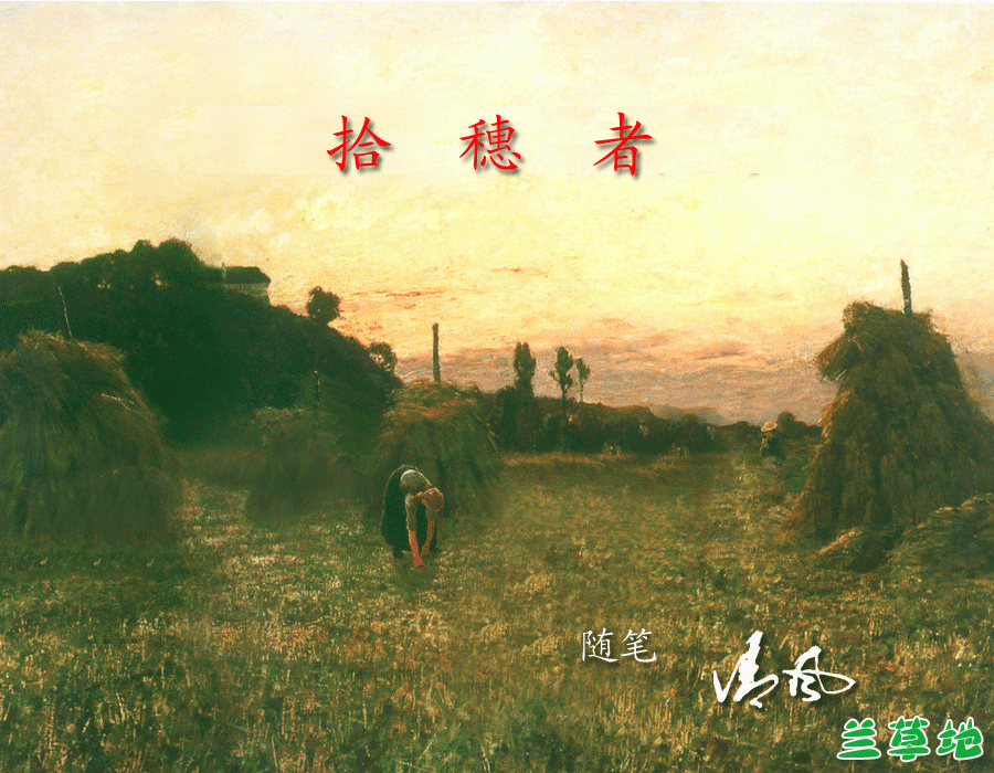 ʰ���� ʰ���� ɢ����� 084931oaagan84rnm44wtu